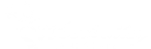 woodvalley_mobile_logo_white-01-300x98.png